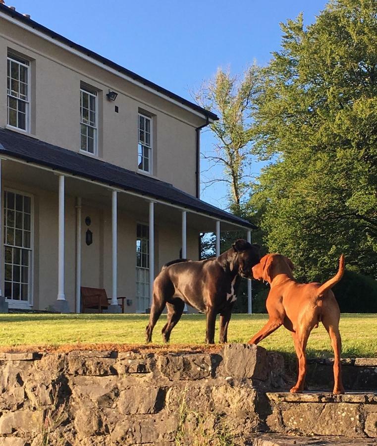 Llwynhelig Manor Bed & Breakfast Llandeilo Exterior photo